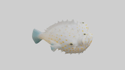 3D model Pufferfish inflated model VR / AR / low-poly