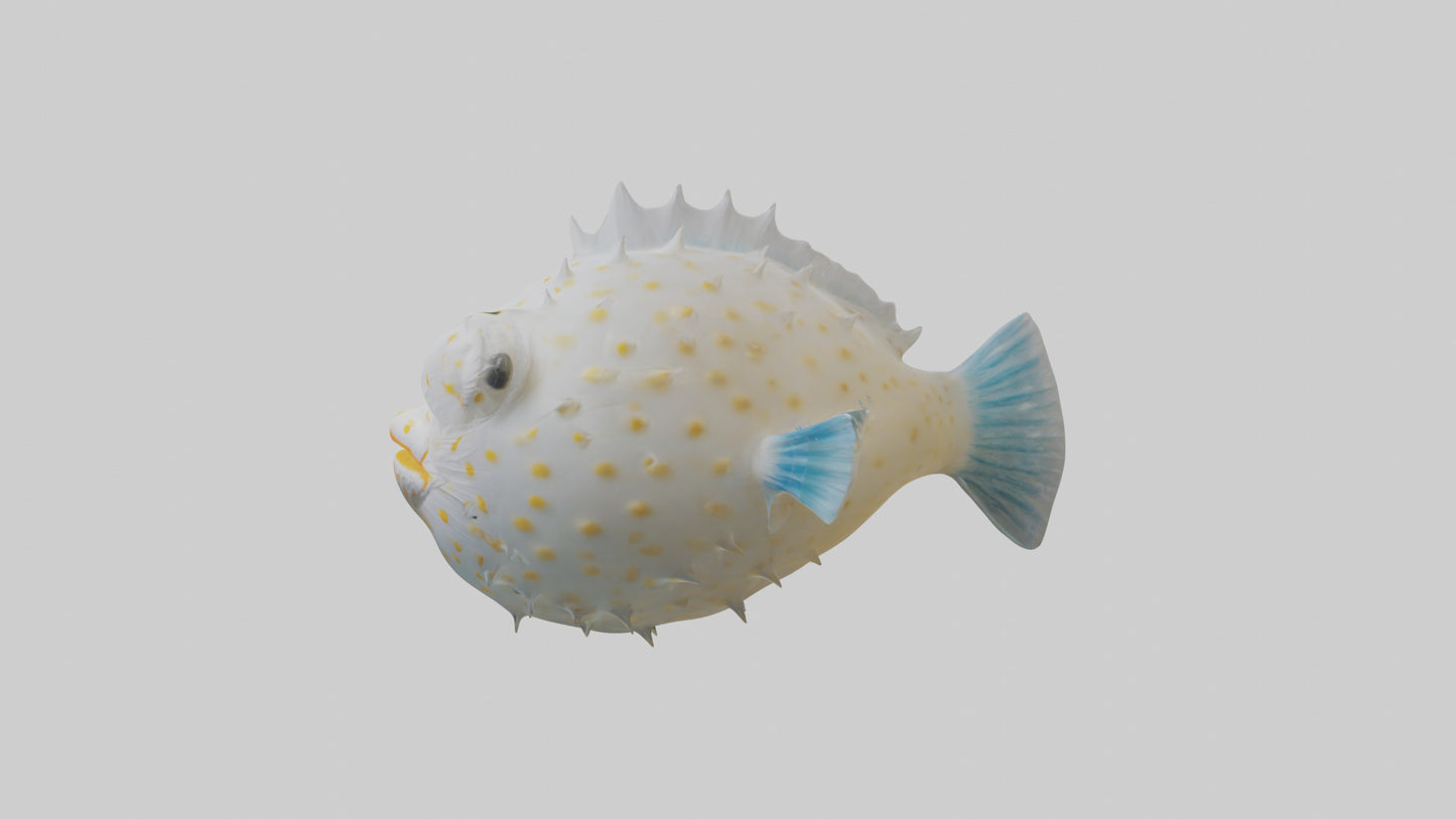 3D model Pufferfish inflated model VR / AR / low-poly