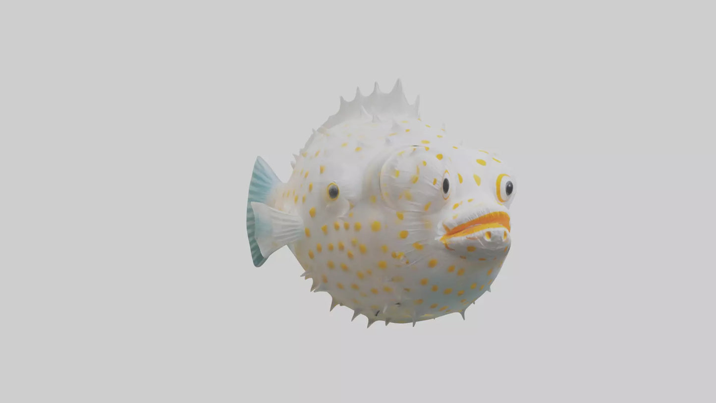 3D model Pufferfish inflated model VR / AR / low-poly