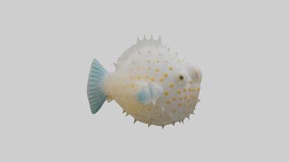 3D model Pufferfish inflated model VR / AR / low-poly