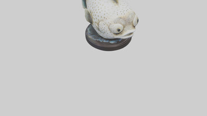 3D model Pufferfish statue model VR / AR / low-poly