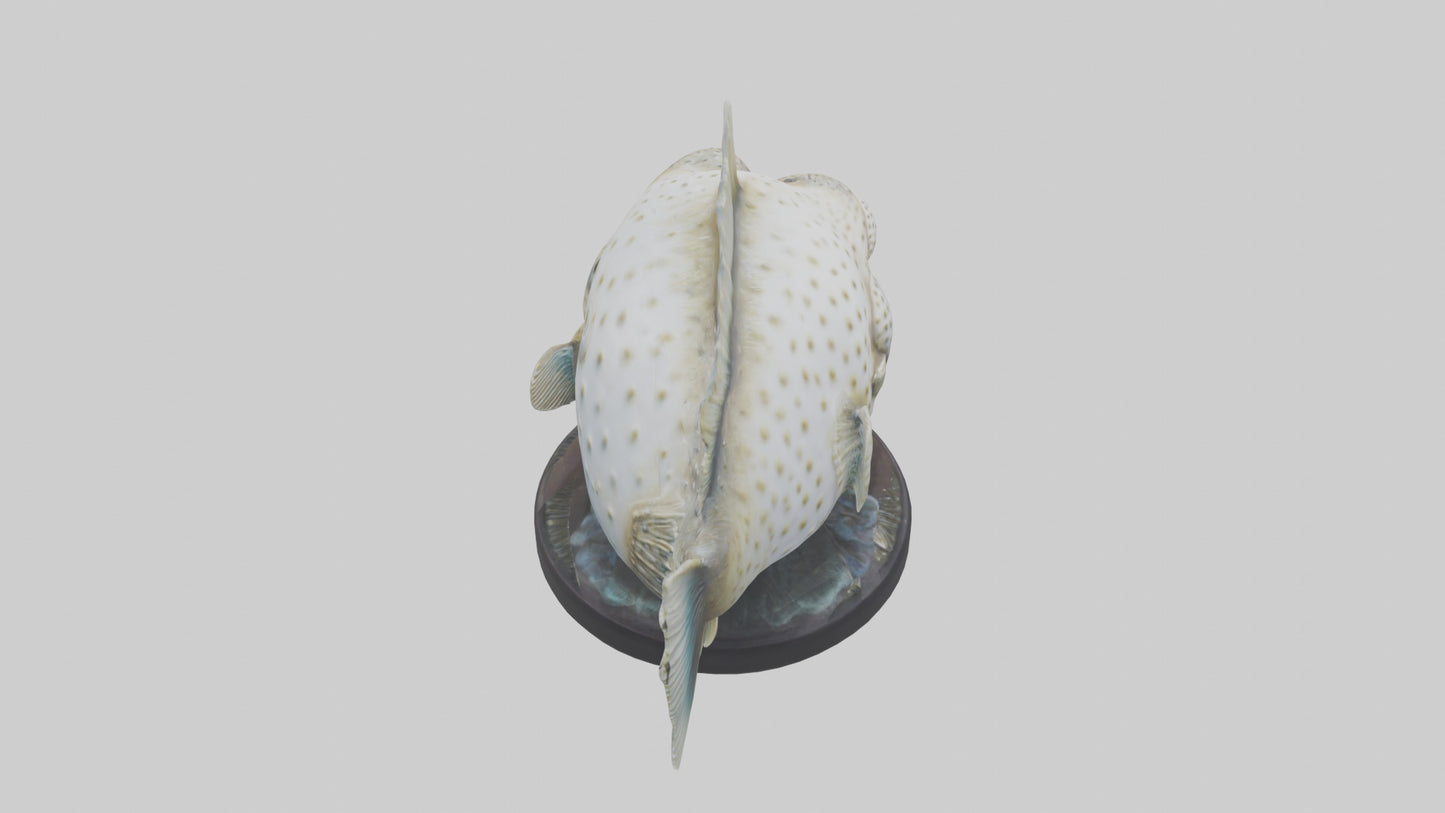3D model Pufferfish statue model VR / AR / low-poly