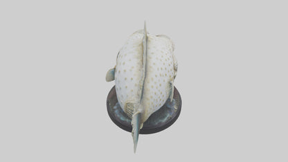 3D model Pufferfish statue model VR / AR / low-poly