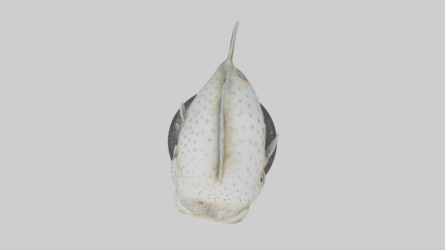 3D model Pufferfish statue model VR / AR / low-poly