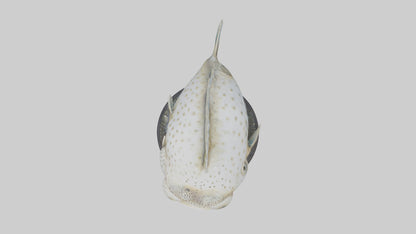 3D model Pufferfish statue model VR / AR / low-poly