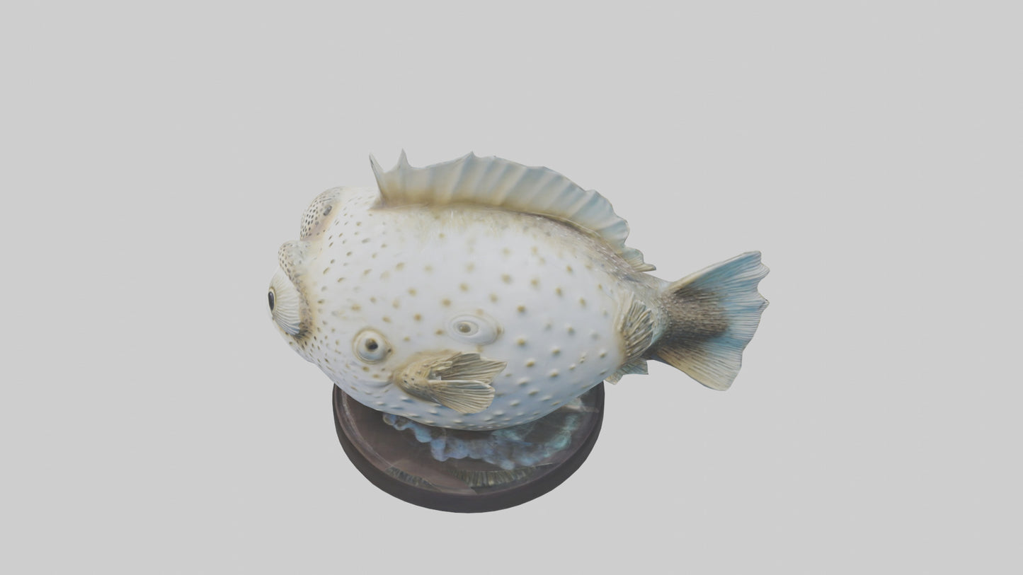 3D model Pufferfish statue model VR / AR / low-poly