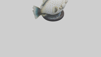 3D model Pufferfish statue model VR / AR / low-poly