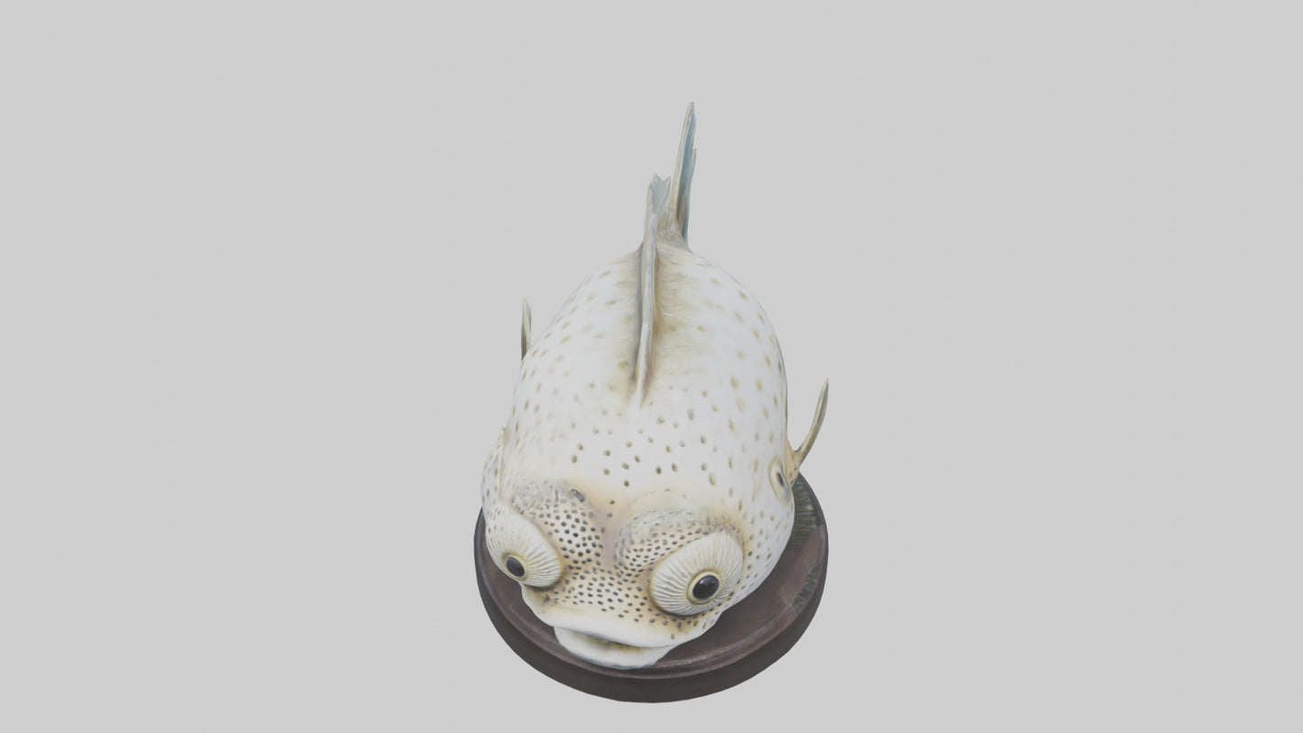 3D model Pufferfish statue model VR / AR / low-poly