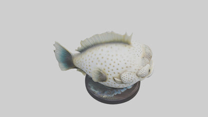 3D model Pufferfish statue model VR / AR / low-poly