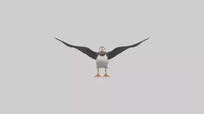 3D model Puffin flying model VR / AR / low-poly