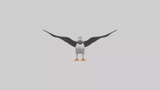 3D model Puffin flying model VR / AR / low-poly