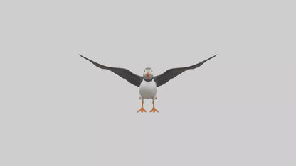 3D model Puffin flying model VR / AR / low-poly