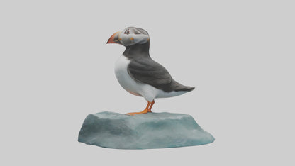Puffin standing on rock model VR / AR / low-poly