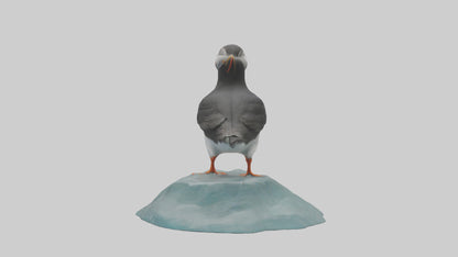 Puffin standing on rock model VR / AR / low-poly
