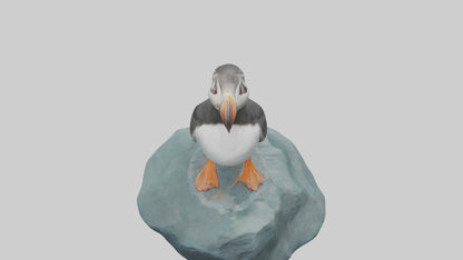 Puffin standing on rock model VR / AR / low-poly
