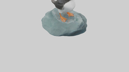 Puffin standing on rock model VR / AR / low-poly
