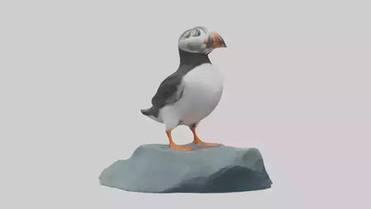 Puffin standing on rock model VR / AR / low-poly