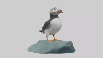 Puffin standing on rock model VR / AR / low-poly
