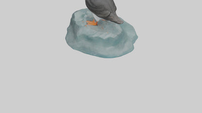 Puffin standing on rock model VR / AR / low-poly