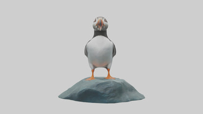 Puffin standing on rock model VR / AR / low-poly
