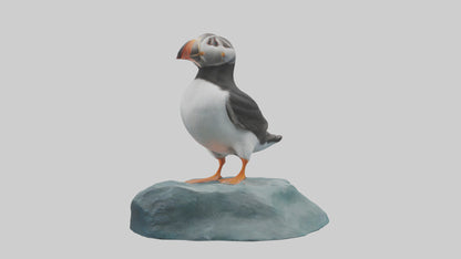 Puffin standing on rock model VR / AR / low-poly