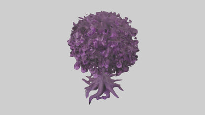 3D model Purple Heart tree model VR / AR / low-poly
