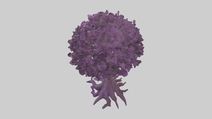 3D model Purple Heart tree model VR / AR / low-poly