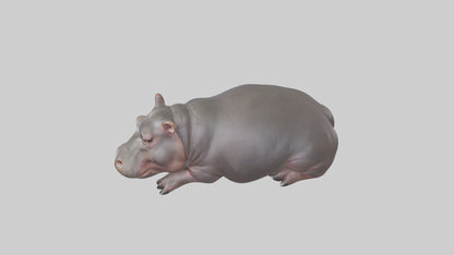 3D model Pygmy Hippo lying down model VR / AR / low-poly