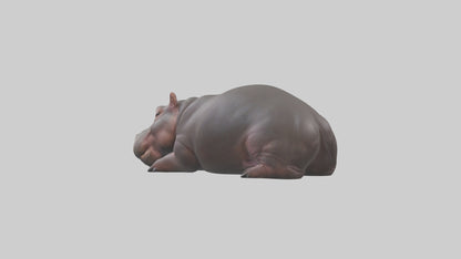 3D model Pygmy Hippo lying down model VR / AR / low-poly