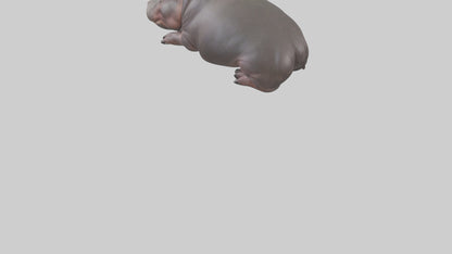 3D model Pygmy Hippo lying down model VR / AR / low-poly