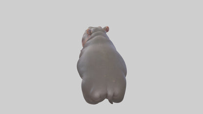3D model Pygmy Hippo lying down model VR / AR / low-poly