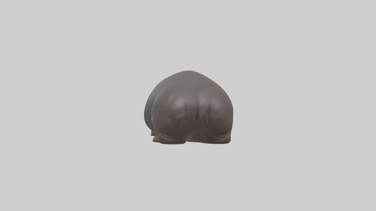 3D model Pygmy Hippo lying down model VR / AR / low-poly