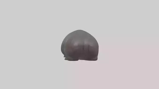 3D model Pygmy Hippo lying down model VR / AR / low-poly