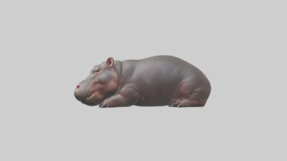 3D model Pygmy Hippo lying down model VR / AR / low-poly