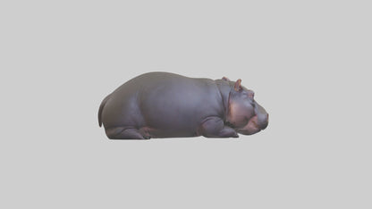 3D model Pygmy Hippo lying down model VR / AR / low-poly