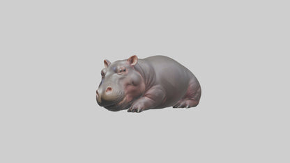 3D model Pygmy Hippo lying down model VR / AR / low-poly