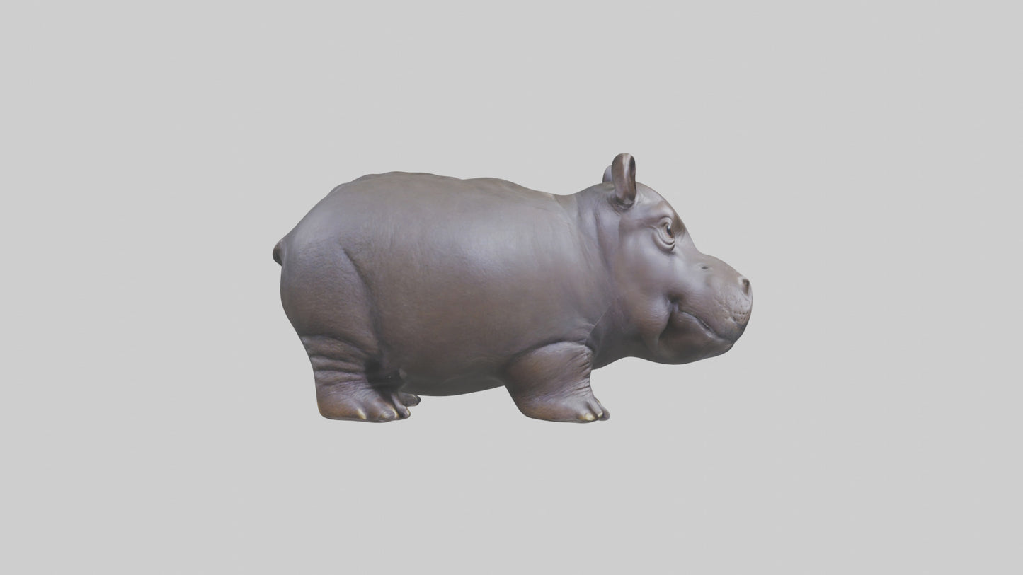 Pygmy Hippo statue model VR / AR / low-poly