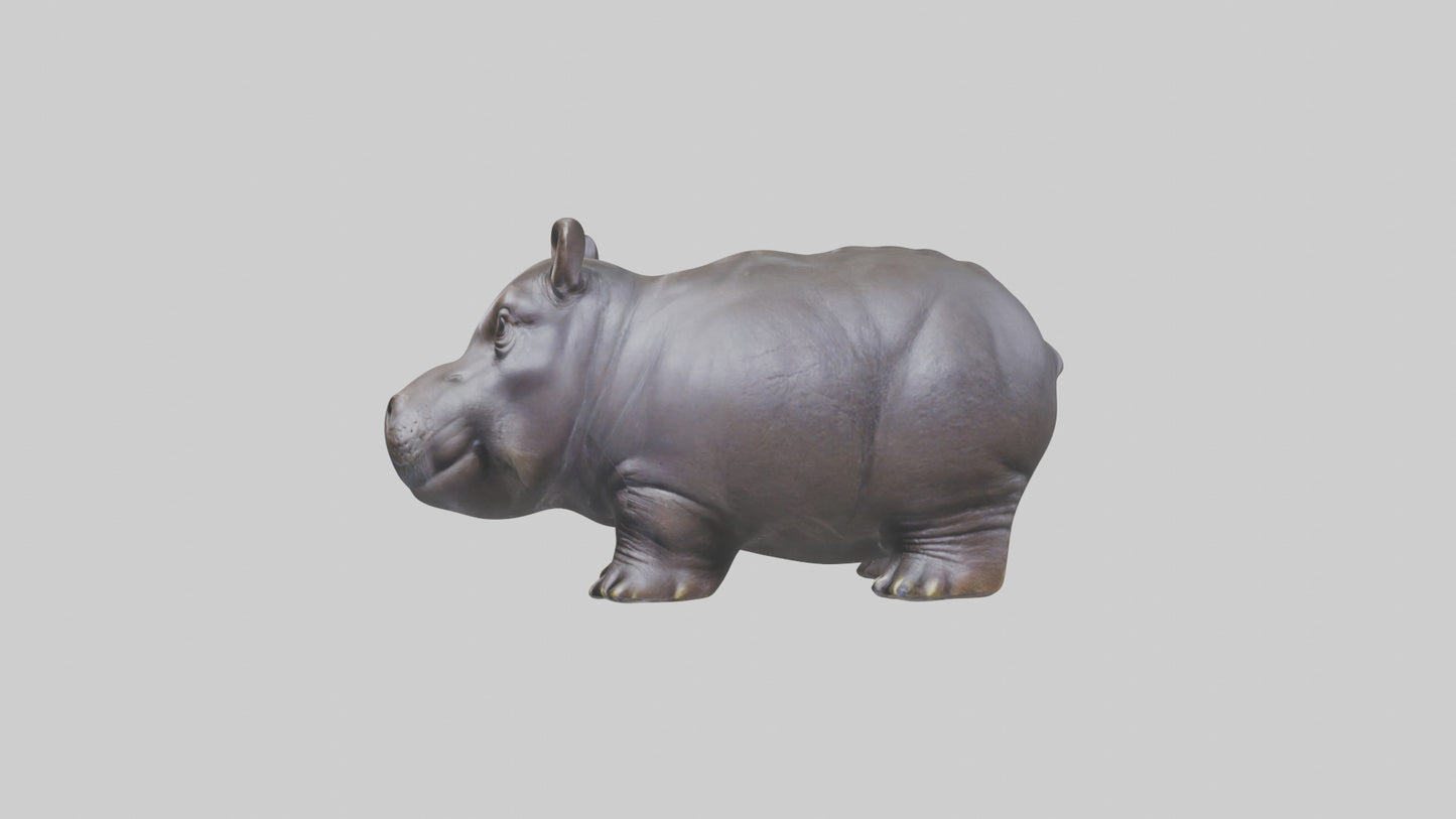 Pygmy Hippo statue model VR / AR / low-poly