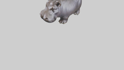 Pygmy Hippo statue model VR / AR / low-poly