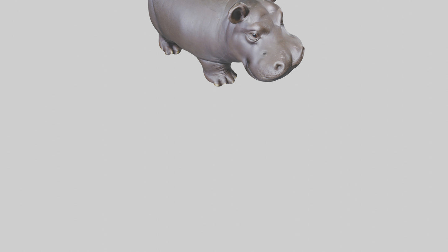 Pygmy Hippo statue model VR / AR / low-poly