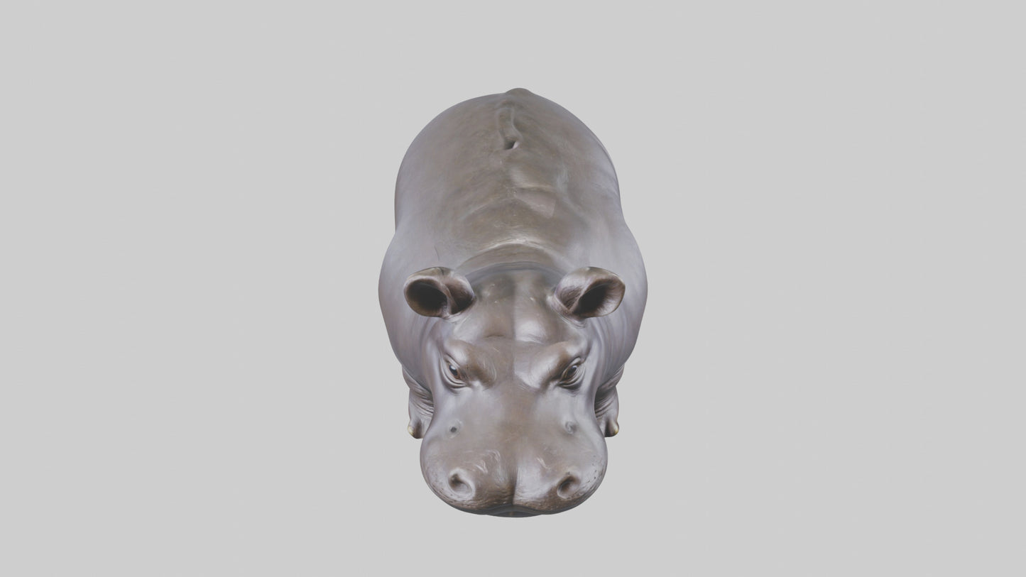 Pygmy Hippo statue model VR / AR / low-poly