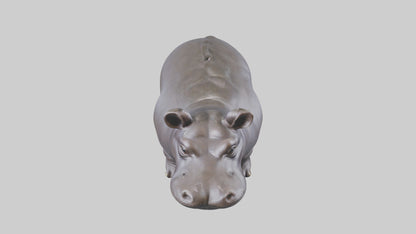 Pygmy Hippo statue model VR / AR / low-poly