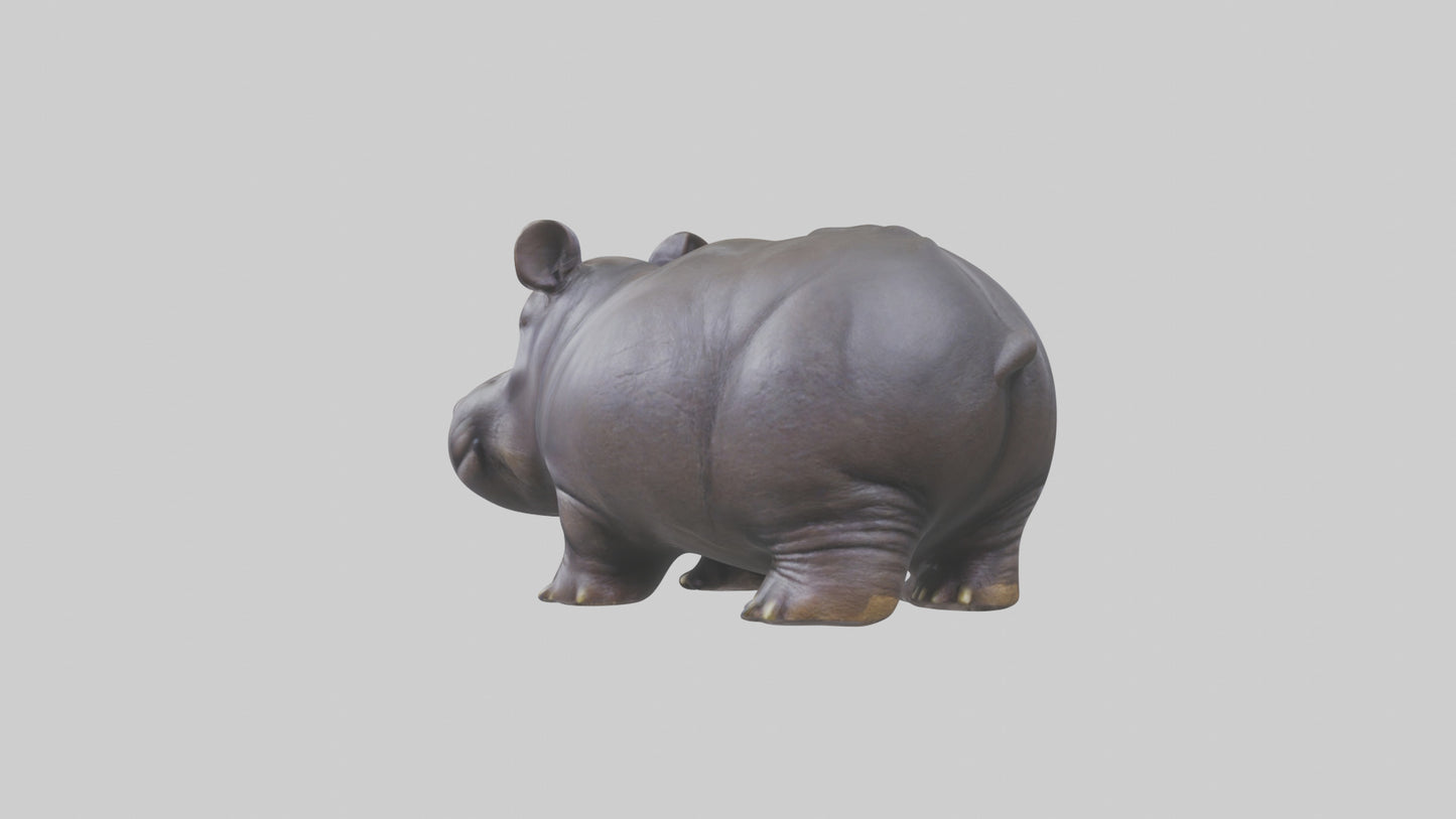 Pygmy Hippo statue model VR / AR / low-poly