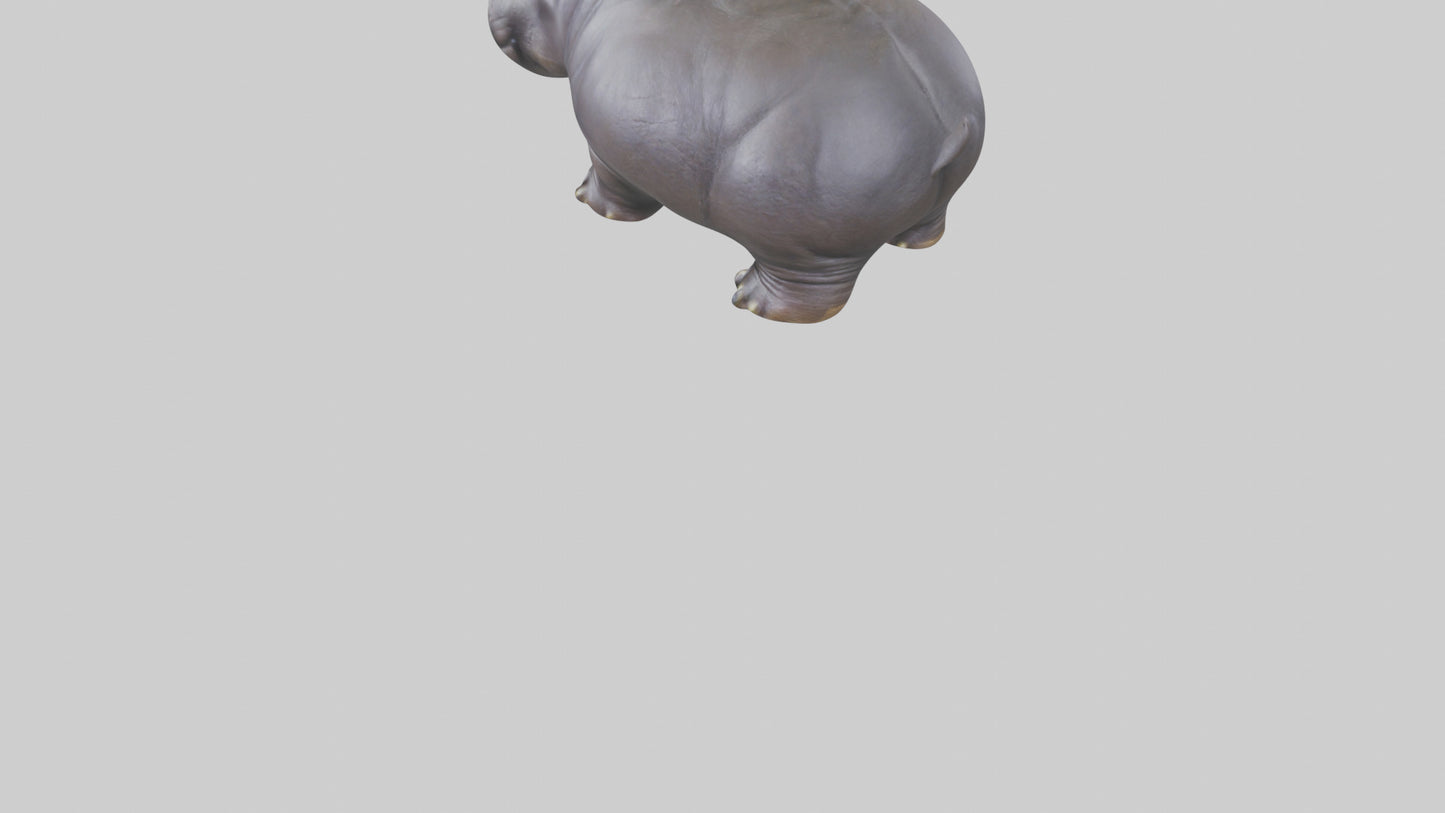 Pygmy Hippo statue model VR / AR / low-poly