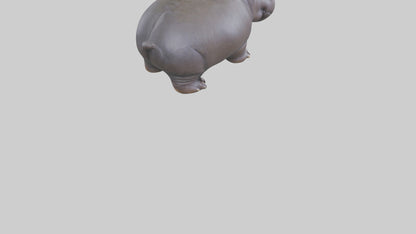 Pygmy Hippo statue model VR / AR / low-poly