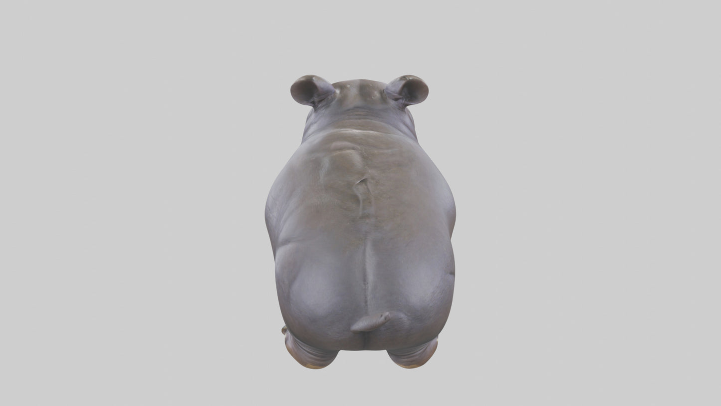 Pygmy Hippo statue model VR / AR / low-poly