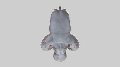 3D model Pygmy Hippo walking model VR / AR / low-poly