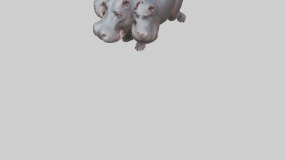 3D model Pygmy Hippo walking model VR / AR / low-poly