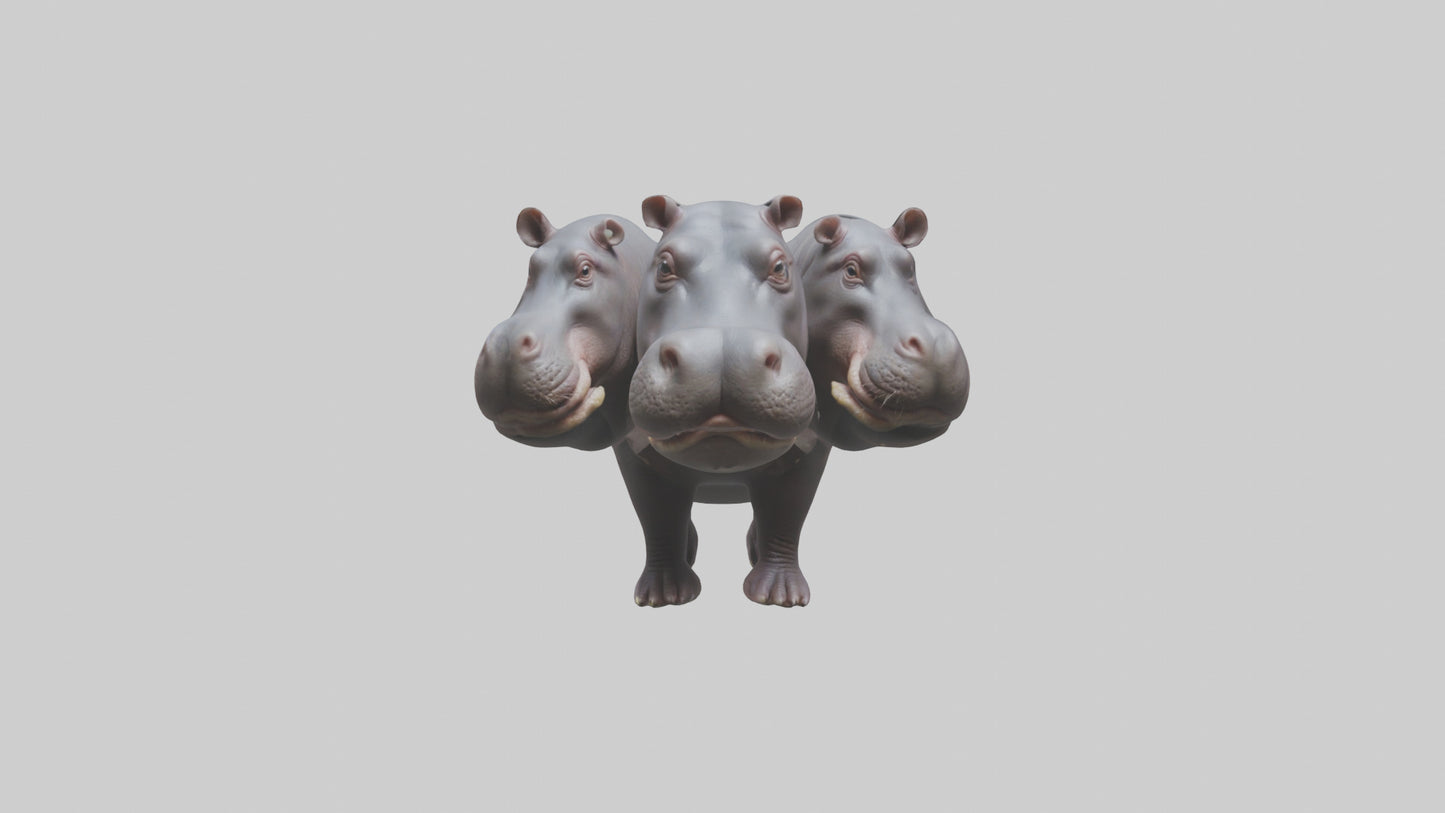 3D model Pygmy Hippo walking model VR / AR / low-poly
