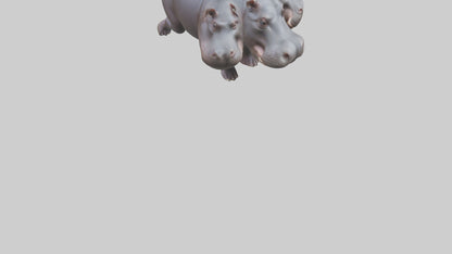 3D model Pygmy Hippo walking model VR / AR / low-poly